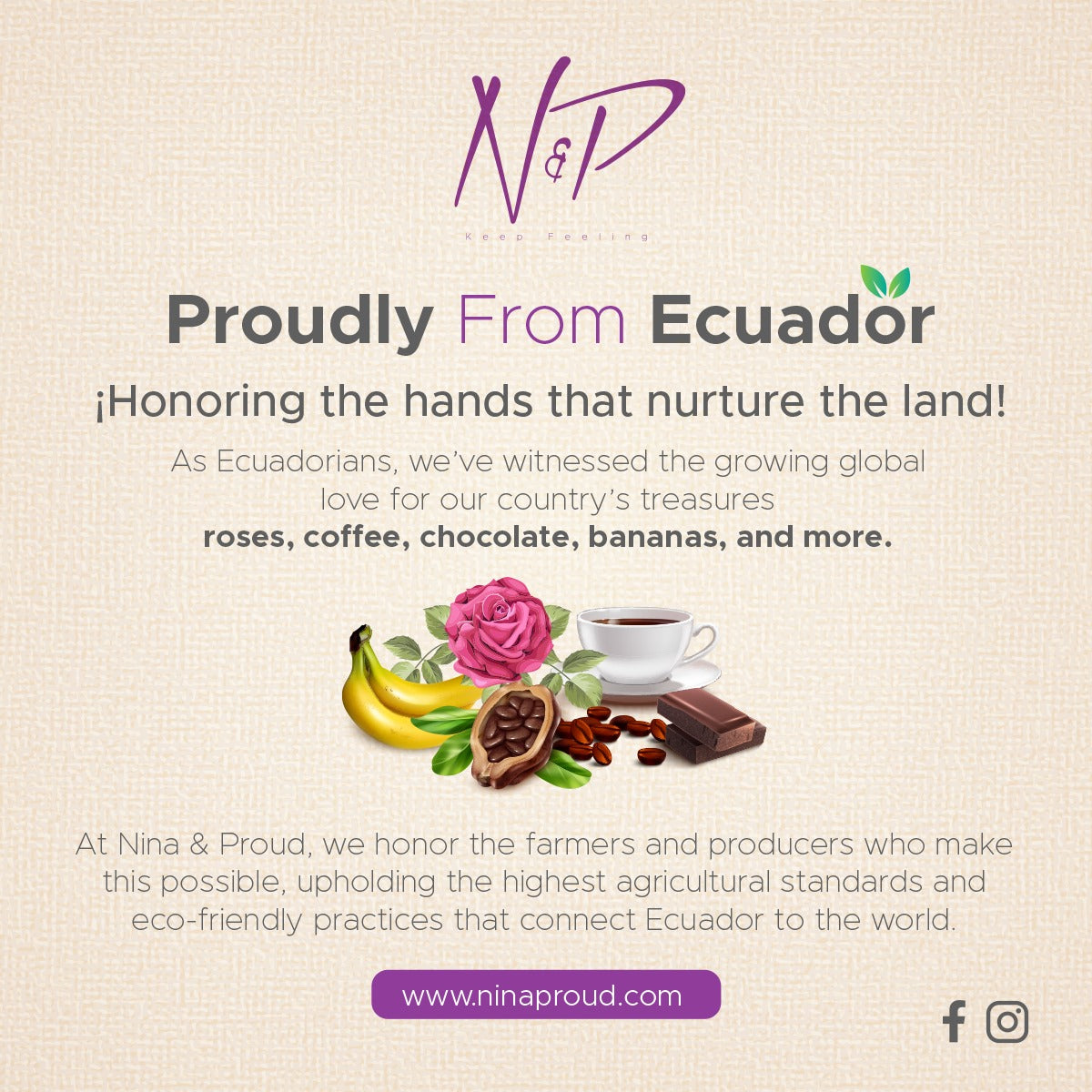 N&P Ecuadorian Chocolate Collection ( 8 premium Ecuadorian chocolate bars (varied flavors) )